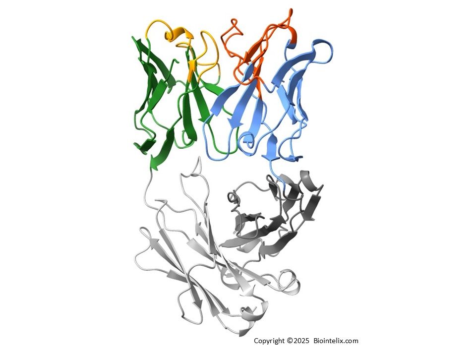 Fab antibody structure prediction