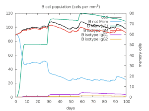 B cell population against an antigen
